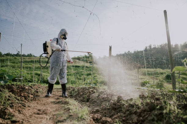 Best Affordable Pest Control Services  in Iona, ID