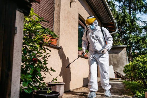 Best Local Pest Control Services  in Iona, ID
