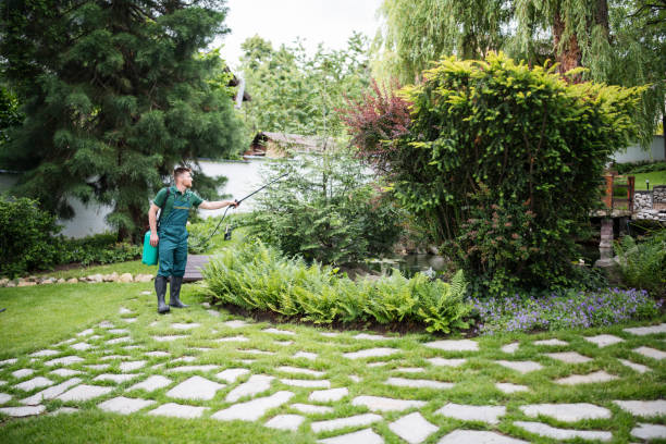 Best Affordable Pest Control Services  in Iona, ID