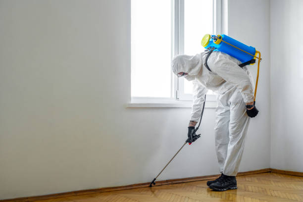 Trusted Iona, ID Pest Control Experts