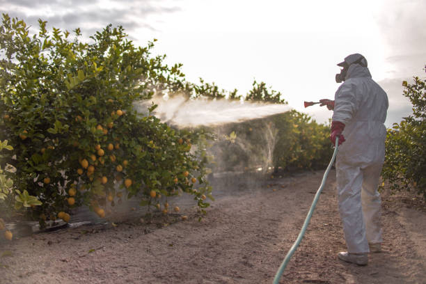 Best Best Pest Control Companies  in Iona, ID