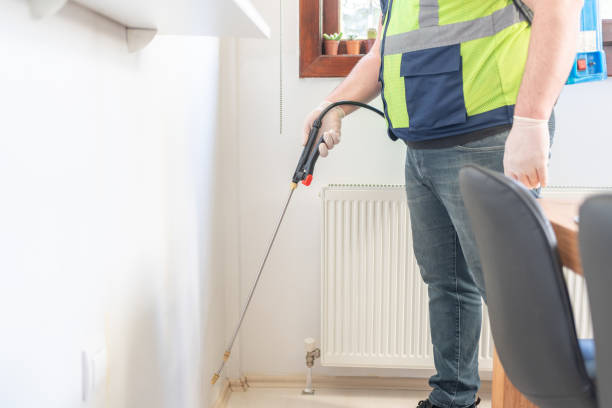 Flea Control Services in Iona, ID