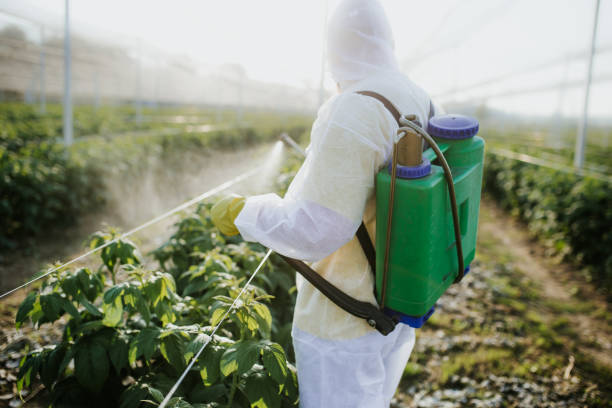 Best Pest Control Near Me  in Iona, ID